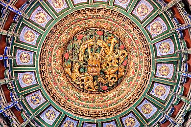 联机摸鱼！ Steam免费摸鱼神游《邦戈猫》推出多人模式